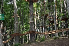 Hochseilgarten stegerspark OG